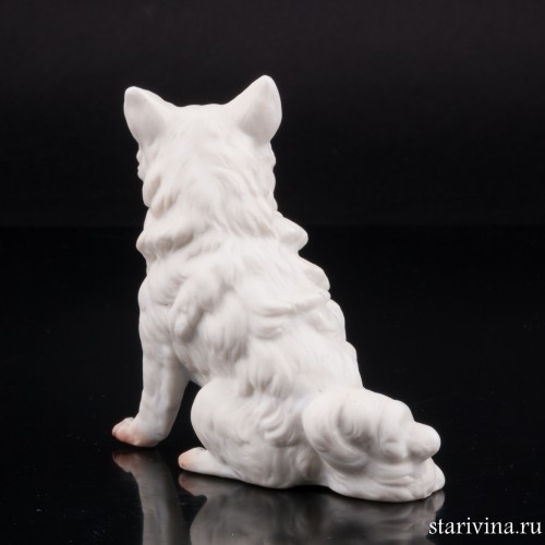 Белый шпиц, Германия, кон. 19 в