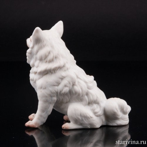 Белый шпиц, Германия, кон. 19 в