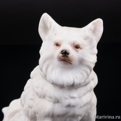 Белый шпиц, Германия, кон. 19 в