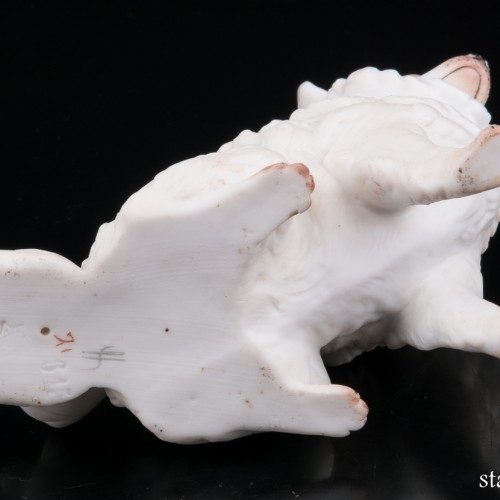 Белый шпиц, Германия, кон. 19 в