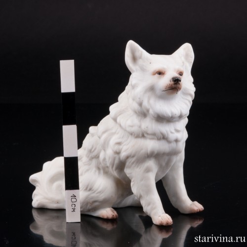 Белый шпиц, Германия, кон. 19 в