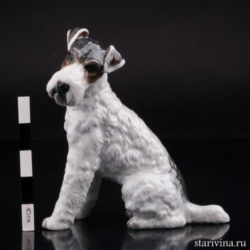 Фокстерьер, Rosenthal, Германия, 1934-56 гг