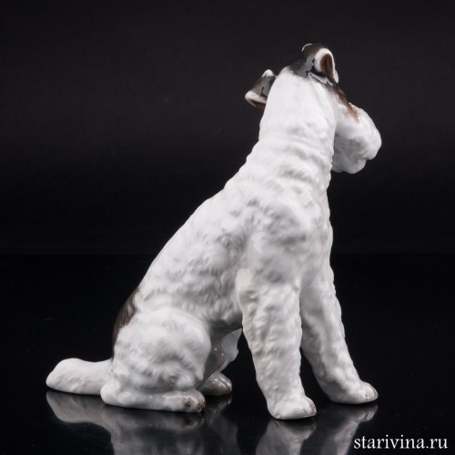 Фокстерьер, Rosenthal, Германия, 1934-56 гг