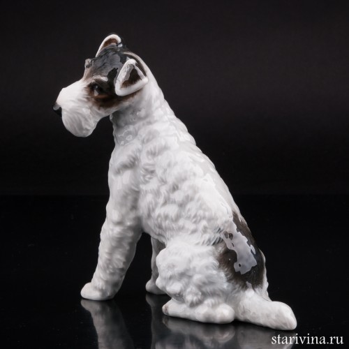 Фокстерьер, Rosenthal, Германия, 1934-56 гг