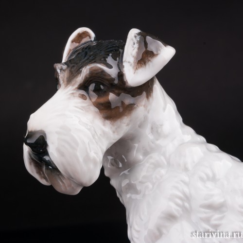 Фокстерьер, Rosenthal, Германия, 1934-56 гг