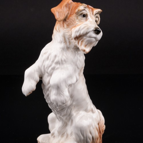 Терьер (Джек Рассел), Karl Ens, Германия, 1920-30