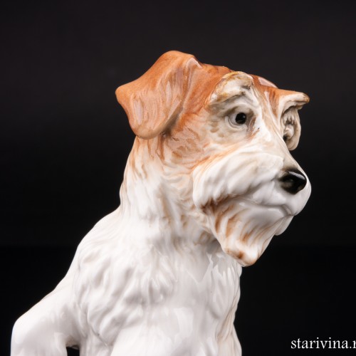 Терьер (Джек Рассел), Karl Ens, Германия, 1920-30