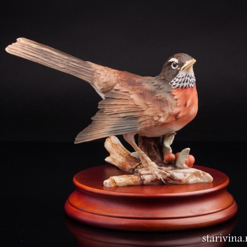 Дрозд белобровик, Alka Kaiser, Германия, до 1990 г