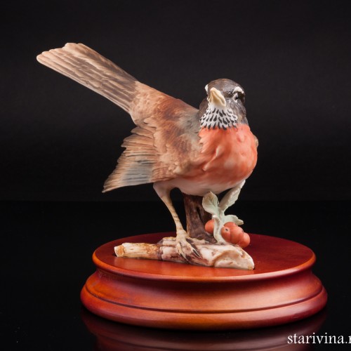 Дрозд белобровик, Alka Kaiser, Германия, до 1990 г