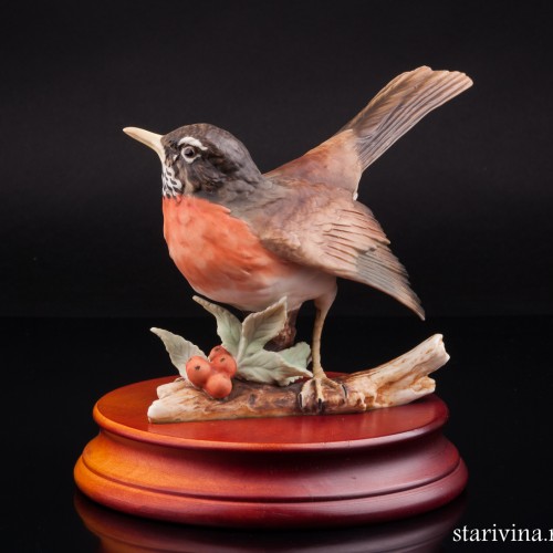 Дрозд белобровик, Alka Kaiser, Германия, до 1990 г