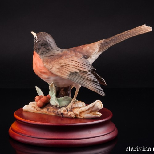 Дрозд белобровик, Alka Kaiser, Германия, до 1990 г