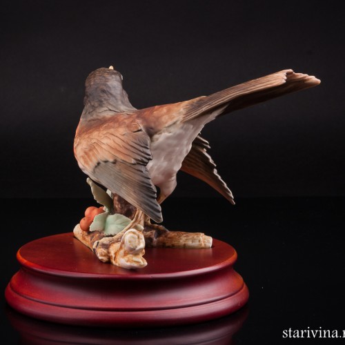 Дрозд белобровик, Alka Kaiser, Германия, до 1990 г