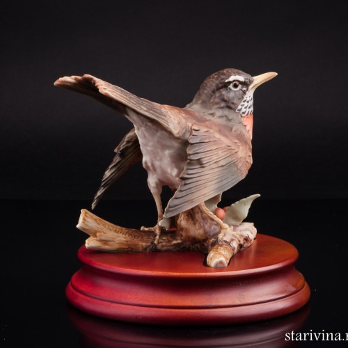 Дрозд белобровик, Alka Kaiser, Германия, до 1990 г