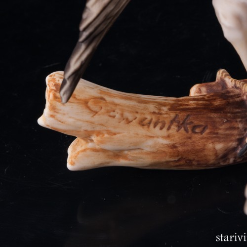 Дрозд белобровик, Alka Kaiser, Германия, до 1990 г