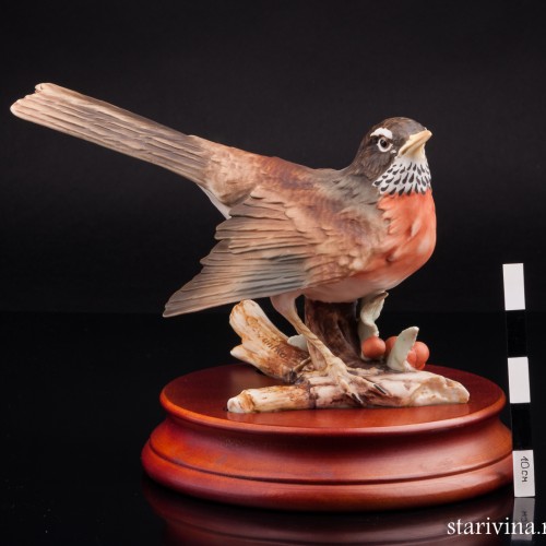 Дрозд белобровик, Alka Kaiser, Германия, до 1990 г