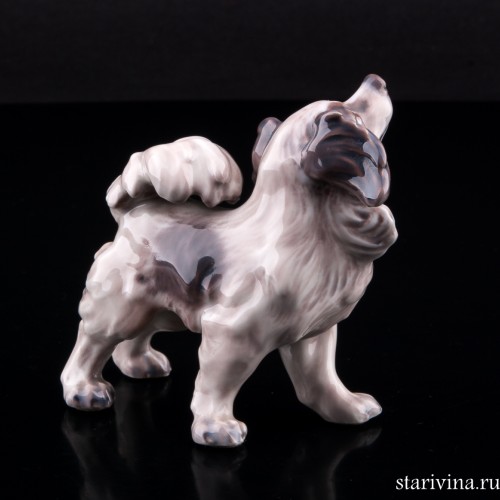 Папильон, Dahl Jensen, Дания