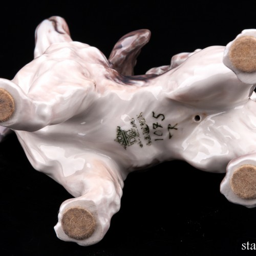 Папильон, Dahl Jensen, Дания