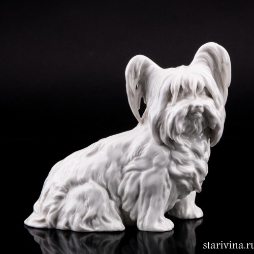 Скай терьер, Augarten, Австрия, пер. пол. 20 в