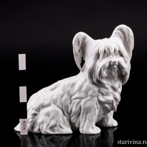 Скай терьер, Augarten, Австрия, пер. пол. 20 в