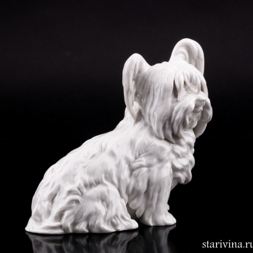 Скай терьер, Augarten, Австрия, пер. пол. 20 в