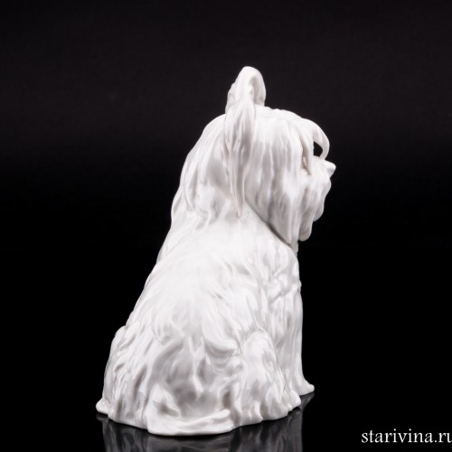 Скай терьер, Augarten, Австрия, пер. пол. 20 в