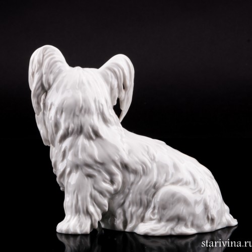 Скай терьер, Augarten, Австрия, пер. пол. 20 в