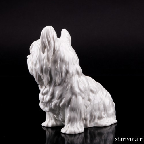 Скай терьер, Augarten, Австрия, пер. пол. 20 в