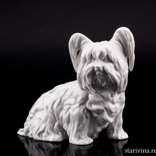 Скай терьер, Augarten, Австрия, пер. пол. 20 в