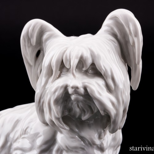 Скай терьер, Augarten, Австрия, пер. пол. 20 в