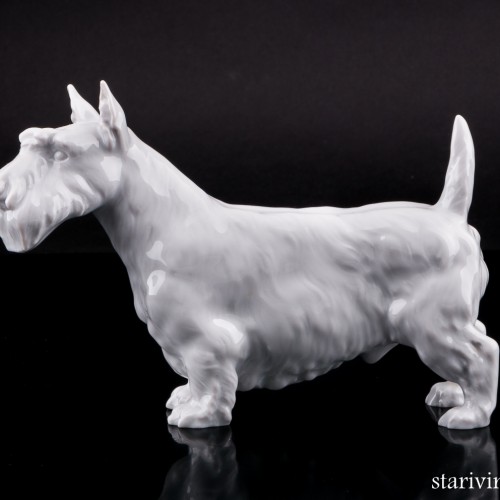 Скотч терьер, Meissen, Германия