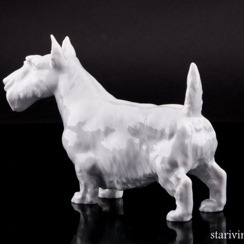 Скотч терьер, Meissen, Германия