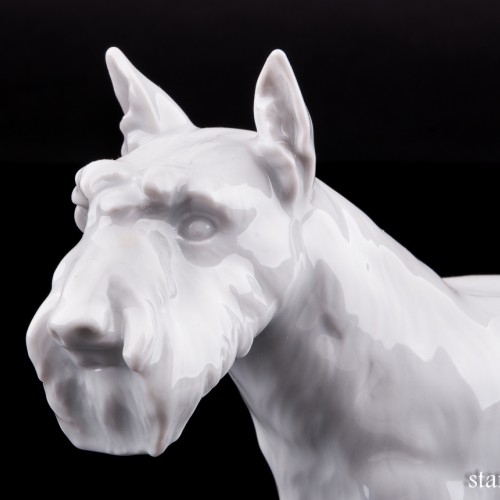 Скотч терьер, Meissen, Германия