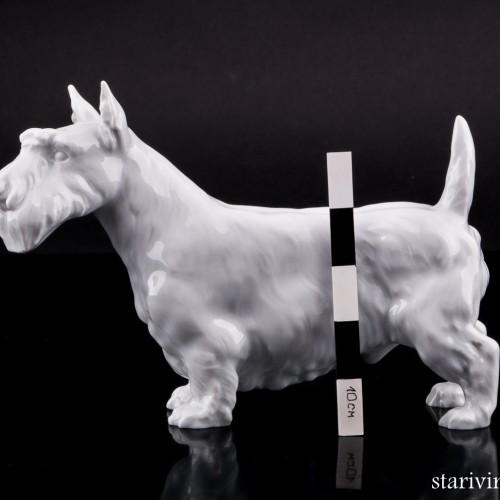 Скотч терьер, Meissen, Германия