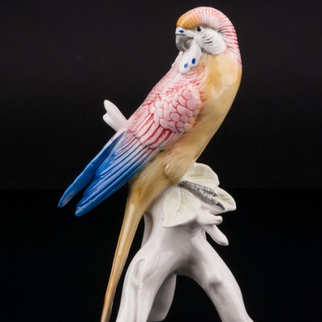 Волнистый попугай, Karl Ens, Германия