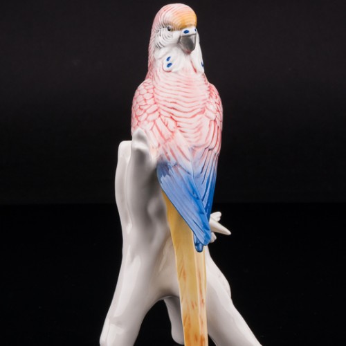 Волнистый попугай, Karl Ens, Германия