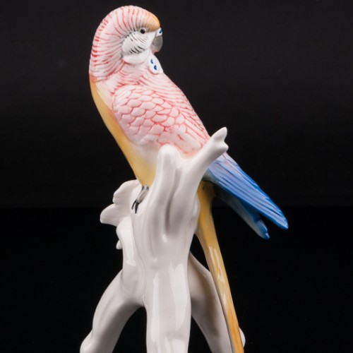 Волнистый попугай, Karl Ens, Германия