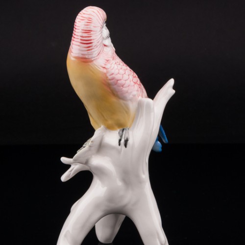 Волнистый попугай, Karl Ens, Германия