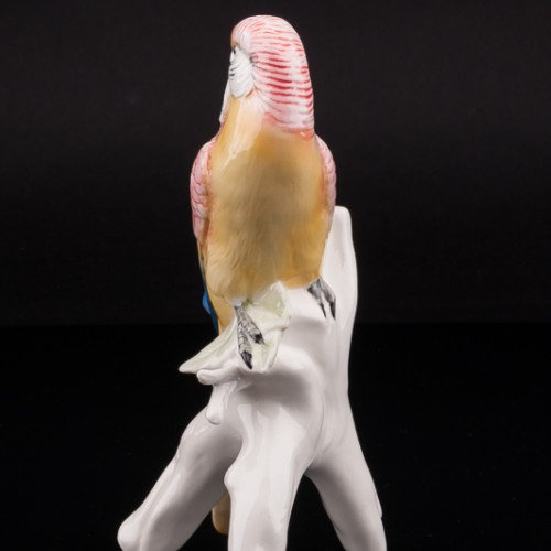 Волнистый попугай, Karl Ens, Германия