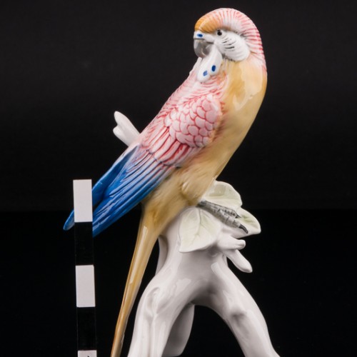 Волнистый попугай, Karl Ens, Германия