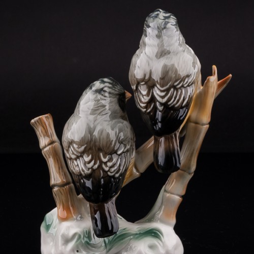 Усатые ткачики, Karl Ens, Германия