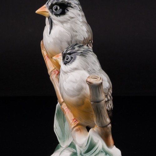 Усатые ткачики, Karl Ens, Германия