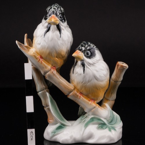 Усатые ткачики, Karl Ens, Германия