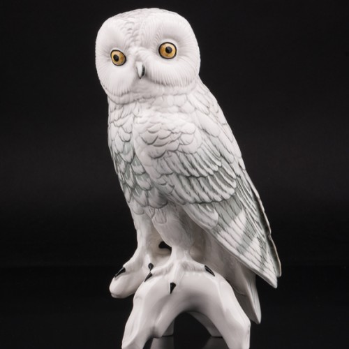Белая сова, Karl Ens, Германия