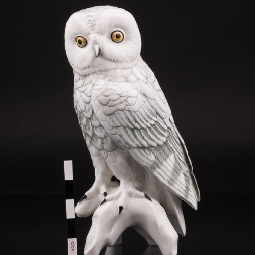 Белая сова, Karl Ens, Германия