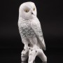 Белая сова, Karl Ens, Германия