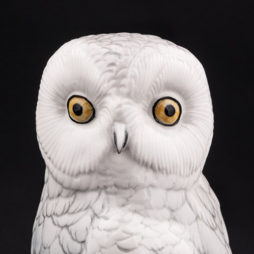 Белая сова, Karl Ens, Германия
