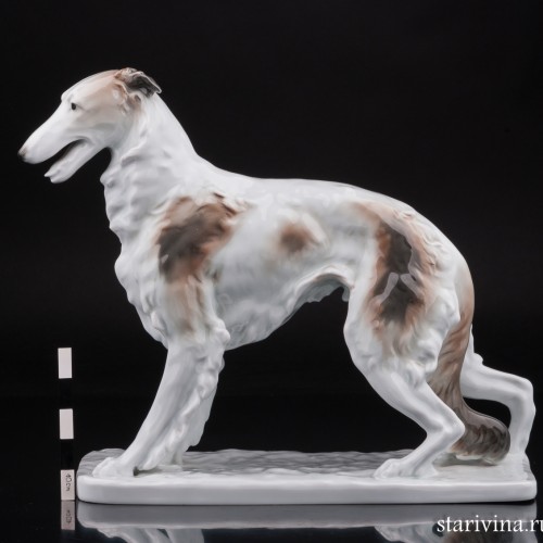 Русская борзая, Karl Ens, Германия, 1920-30 гг