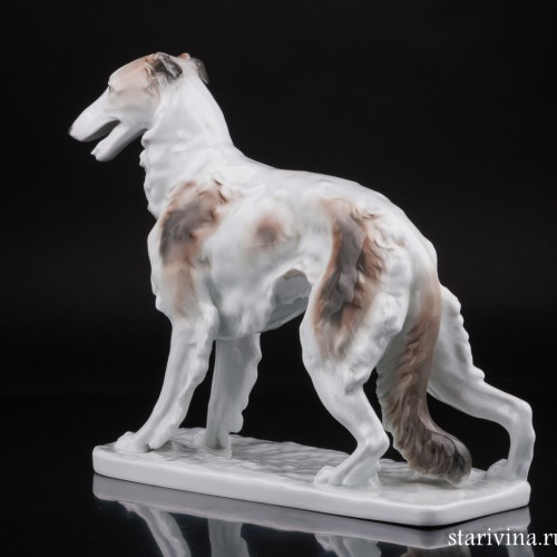 Русская борзая, Karl Ens, Германия, 1920-30 гг