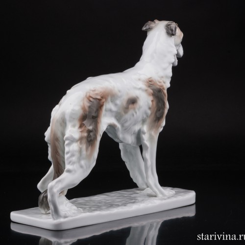 Русская борзая, Karl Ens, Германия, 1920-30 гг