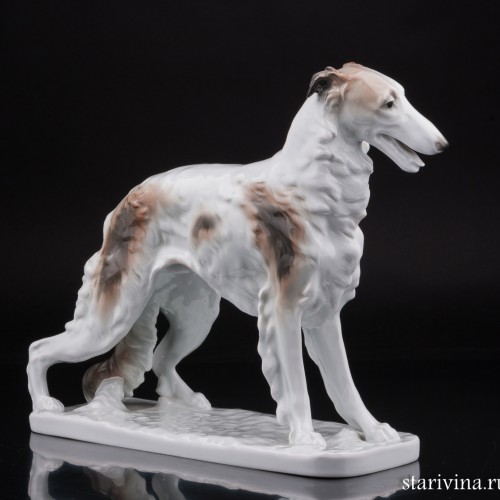 Русская борзая, Karl Ens, Германия, 1920-30 гг